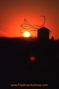 Barbed Wire Sunset