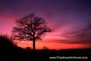 Swiss Sunset