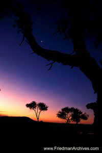 Vertical Namibian Sunset