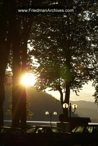 Sunset through Trees