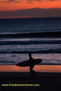 Surfer Silhouette