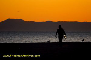 Surfer Silhouette