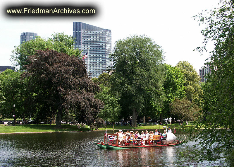 Swan Boats