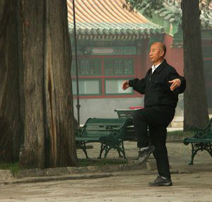 Tai Chi in a park.