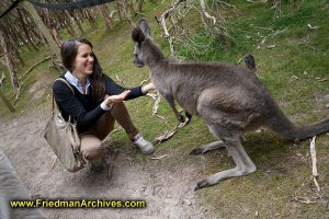 Tourist feeds a Kangaroo