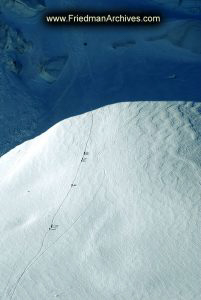 Tracks in the Snow