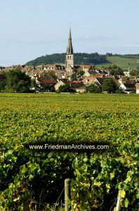 Village, Church, and Vineyard