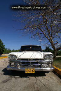 White Car Vertical