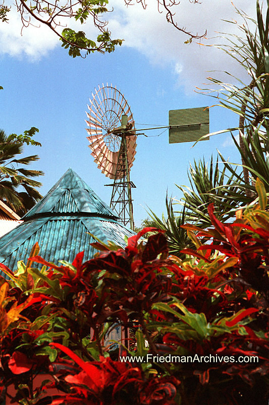 Windmill in Hawaii