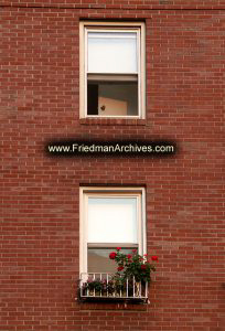 Windows-and-Flowers