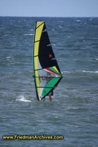 Windsurfer