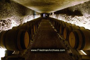 Wine Barrels in Cellar