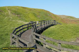 Wooden Bridge in Pasture