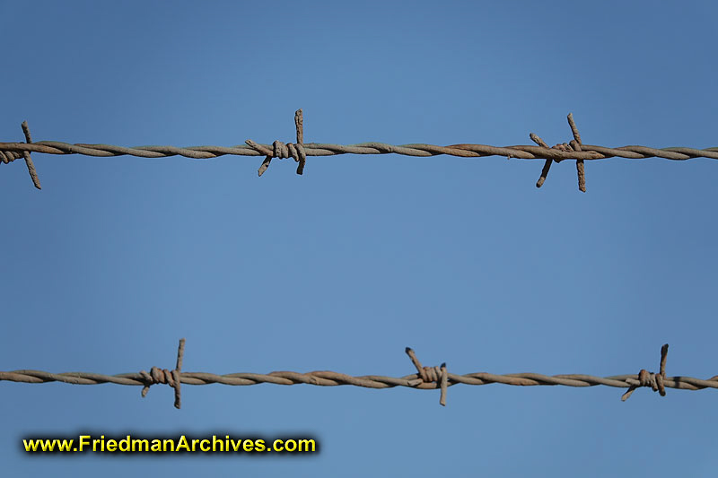 Barbed Wire