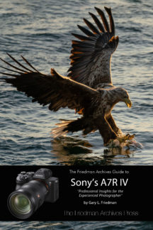 The Friedman Archives Guide to Sony's A7R IV