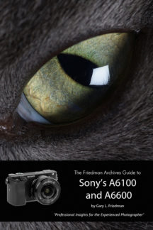 Sony A6600 A6100