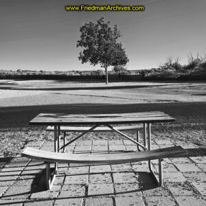 Orson Welles Sat Here